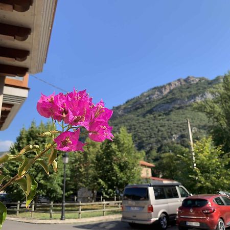 Cumbres De Los Picos Apartamento Los Abedules Poo  Dış mekan fotoğraf