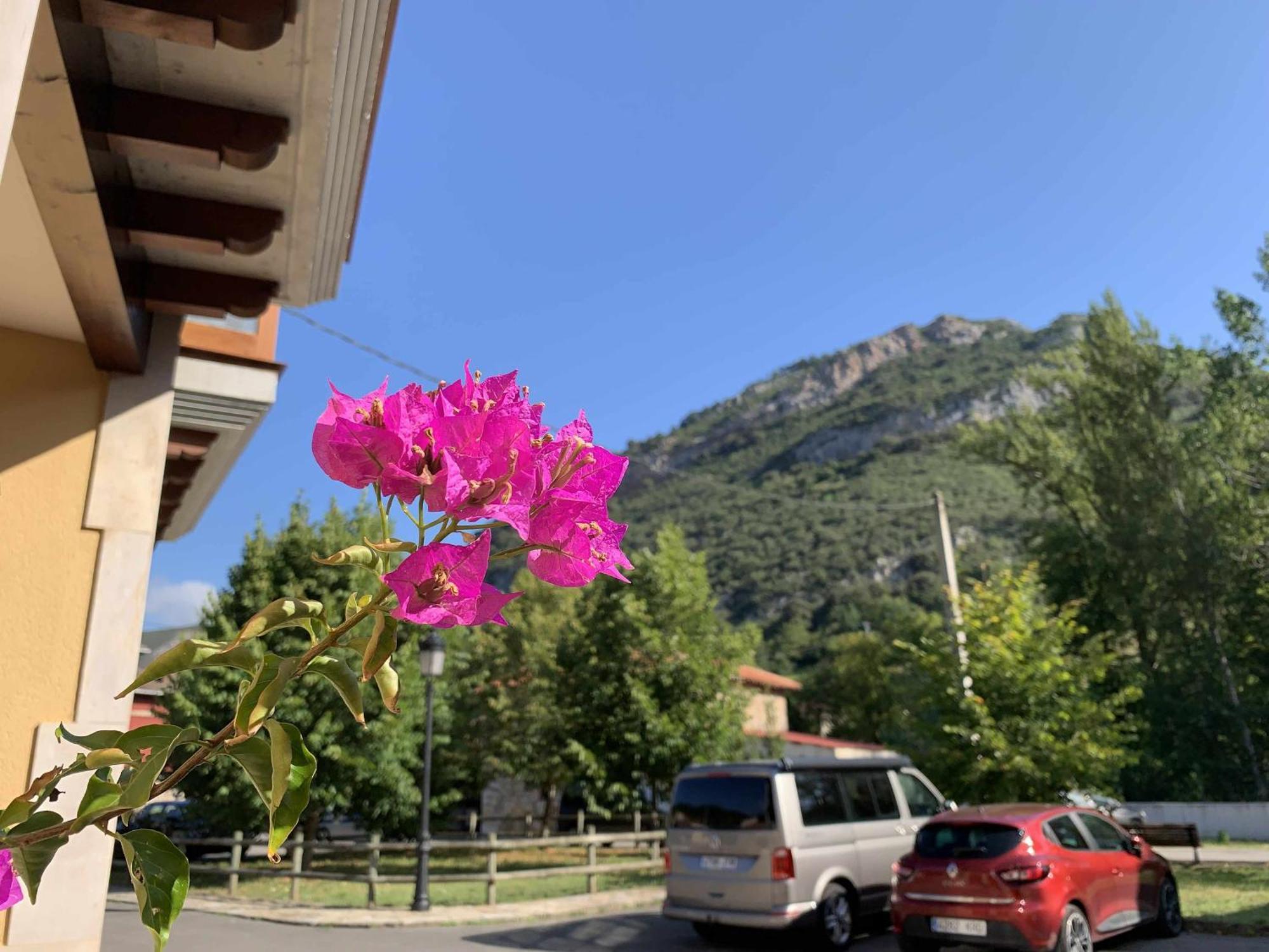 Cumbres De Los Picos Apartamento Los Abedules Poo  Dış mekan fotoğraf
